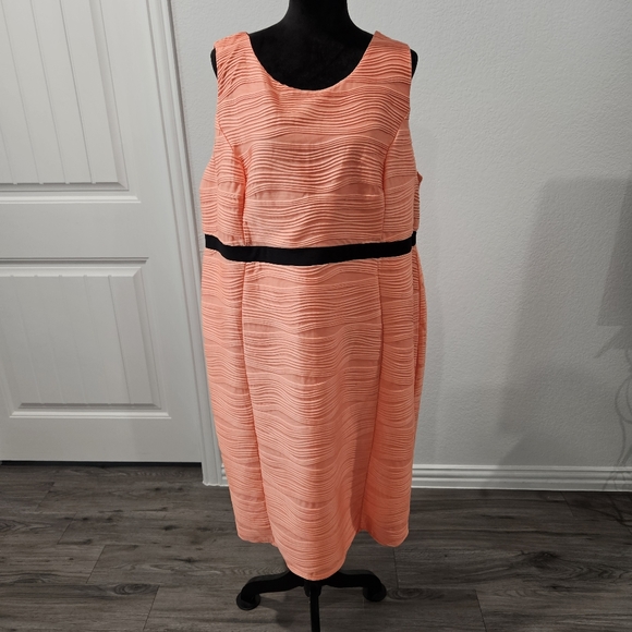 Stunning Peachy-Mango Dream Dress - Picture 3 of 4